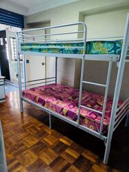 Blk 527 Serangoon North Avenue 4 (Serangoon), HDB Executive #487777461